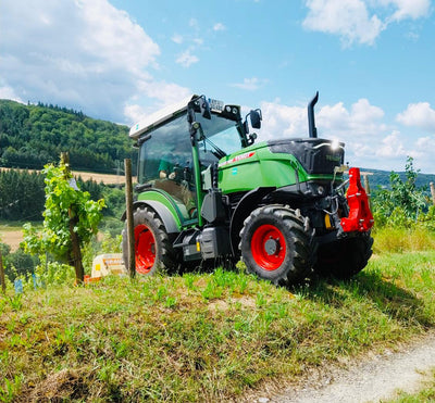 Das Mulchen im Weinberg