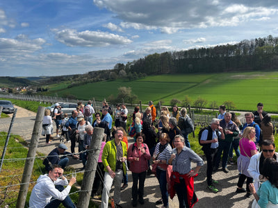 Frühlings-WeinWanderung | Sonntag, 18. Mai 2025