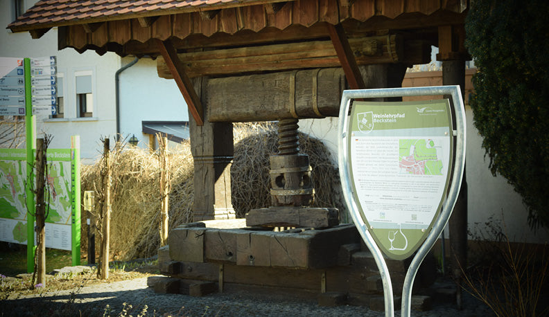 Der Weinlehrpfad in Beckstein ist ein 2,5km langer Rundweg durch die Becksteiner Weinberge