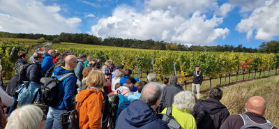 Herbstliche WeinWanderung Nr. 1 | Freitag, 03. Oktober 2025